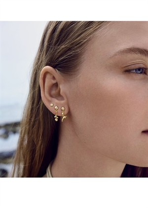 Amaria earrings Forgyldt Maanesten 